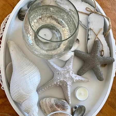 Muschelhaus - 4 شقة *