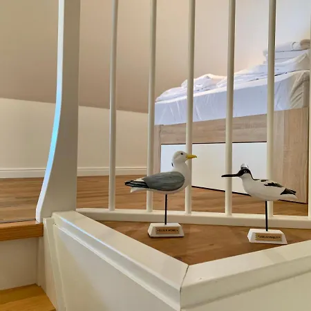 Muschelhaus - 4 شقة